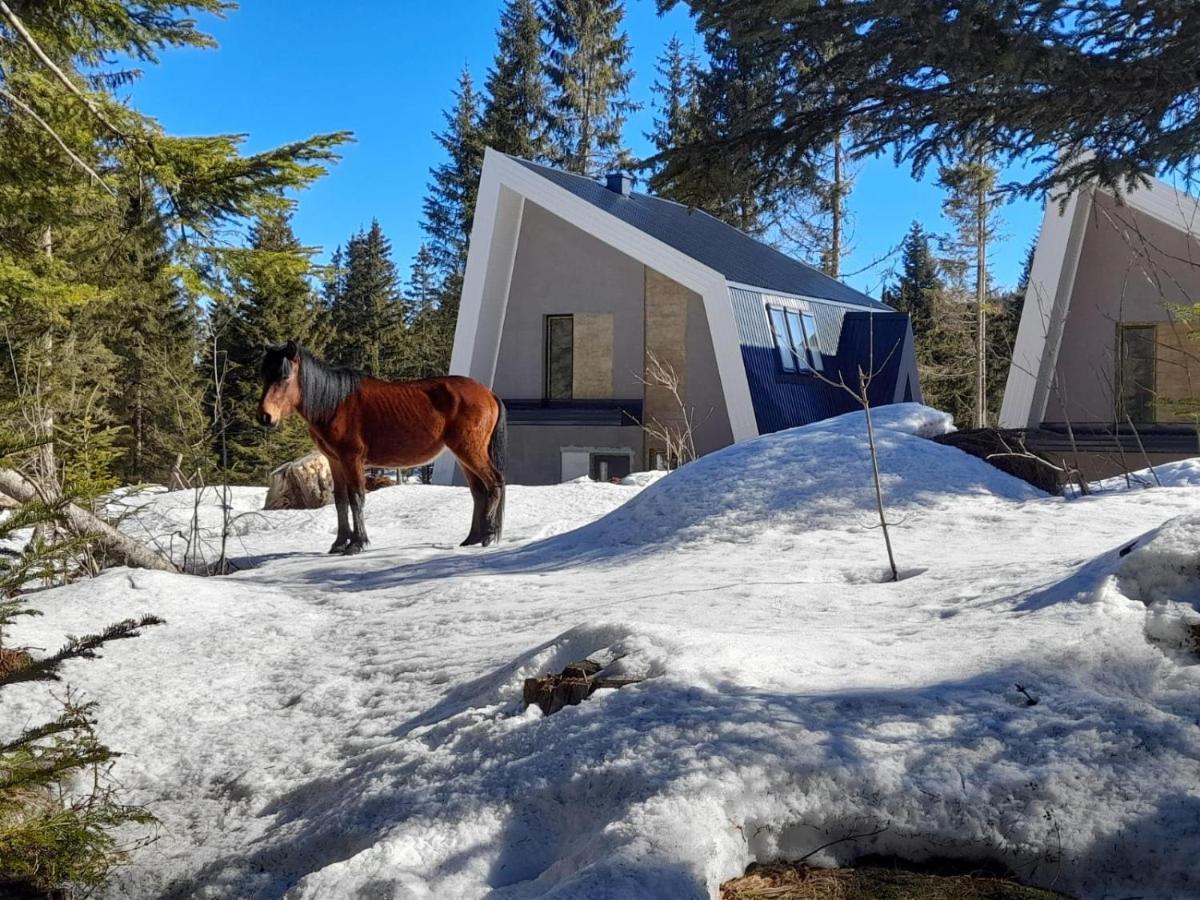 Olympic Oasis Villa Jahorina Kültér fotó
